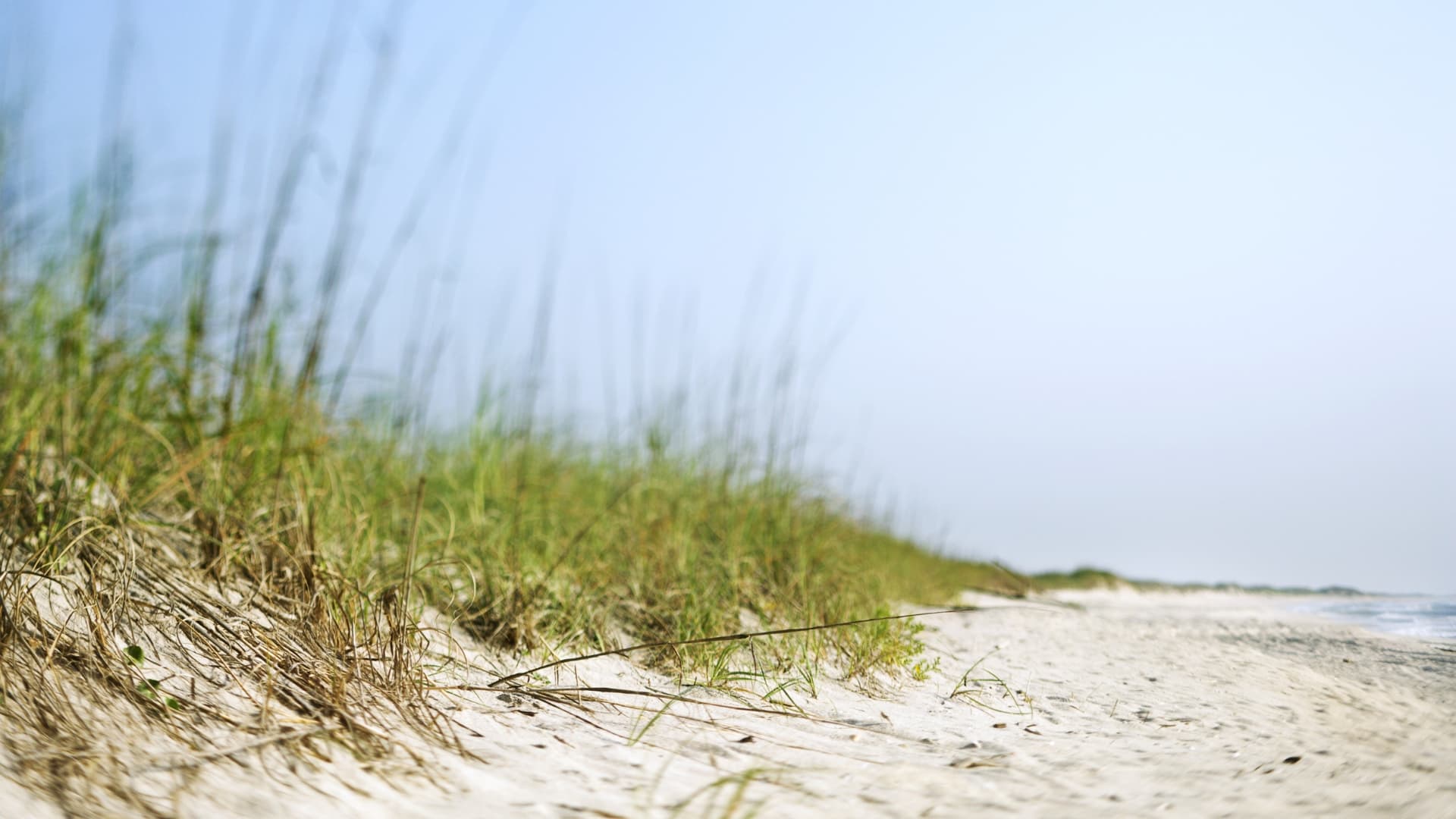 Professional web services background